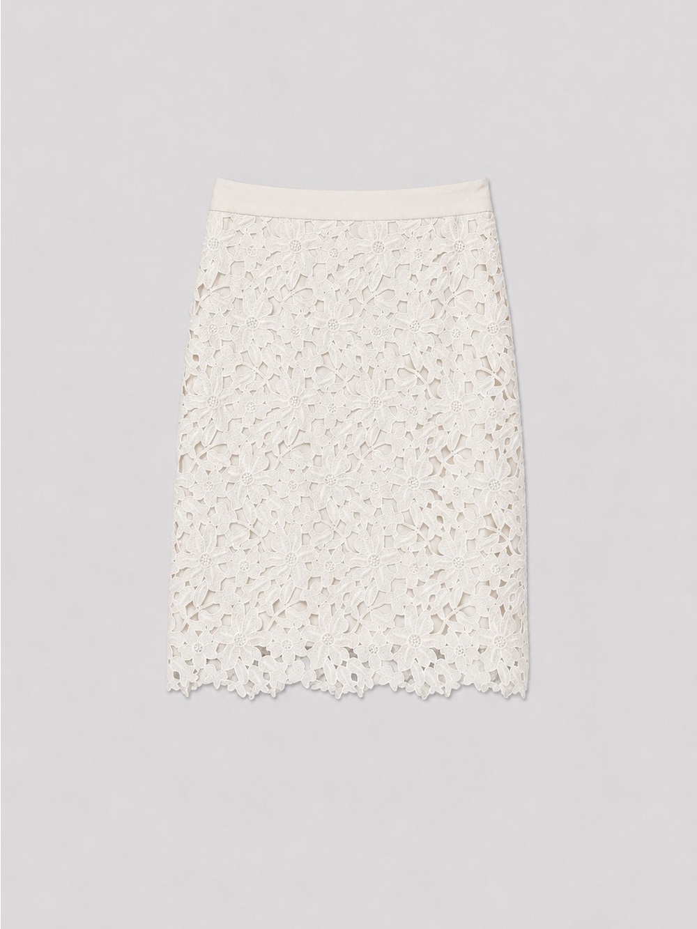 LOFT Cream Floral Lace Pencil Skirt